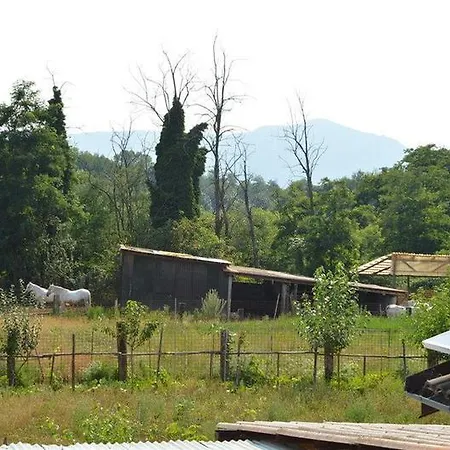 Cascina Scola-2